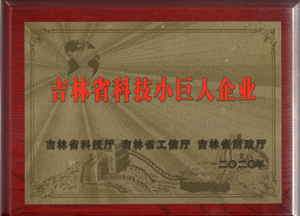 0麻将胡了物业获“吉林省科技小巨人企业”称呼_副本.jpg