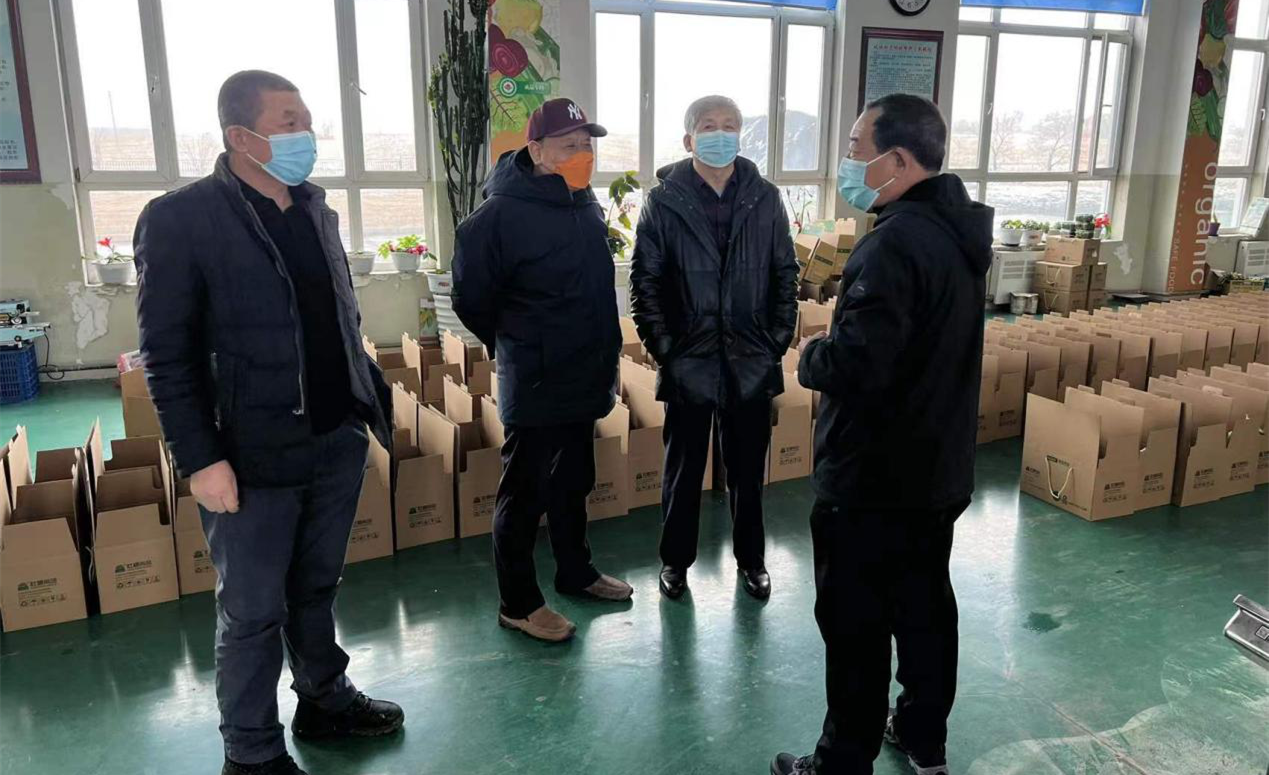 9.集团副董事长走访麻将胡了农业_副本.png